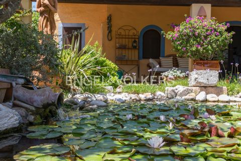 Finca i Teulada, Alicante, Teulada - € 1 600 000 | Ref: W-02CQGY - foto 34